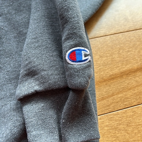 James Madison Champion Fleece Hoodie - Picture 3 of 4